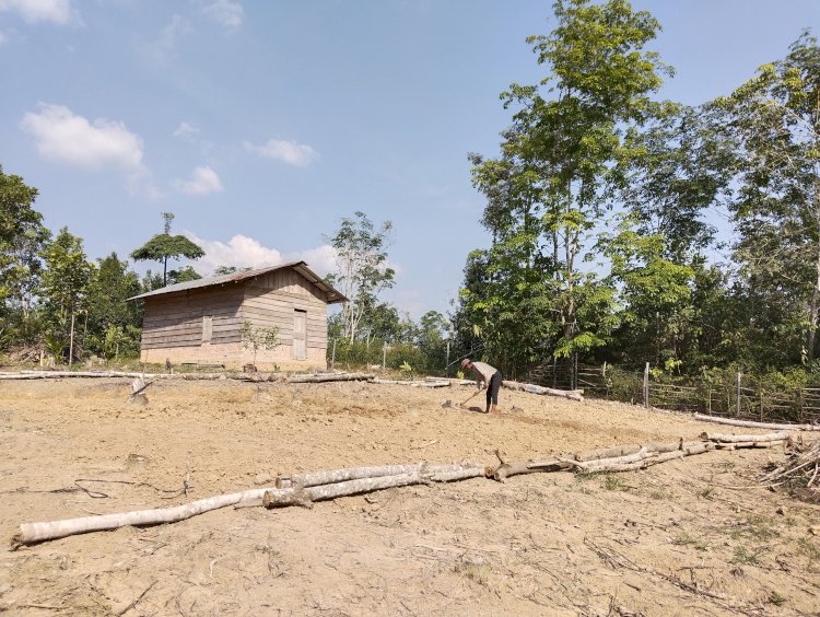 Salah satu petani yang memanfaatkan pekarangan rumah untuk dijadikan lahan pertanian penunjang perekonomian. (Eko Jurianto/Rmolsumsel.id). 