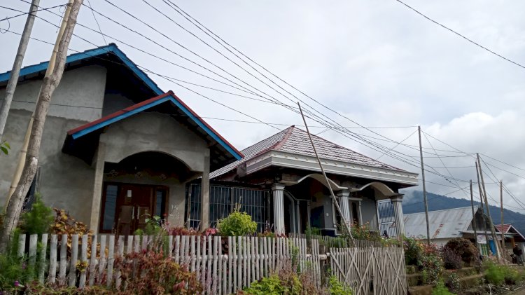 Ratusan tiang penyangga kabel listrik milik PT PLN di Kampung III Desa Segamit masih berupakan bambu. (Noviansyah/Rmolsumsel.id). 