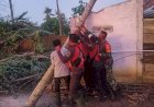 Angin Puting Beliung Rusak Musala dan 30 Rumah Warga di Musi Rawas