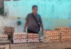 Mensos Bantah Lonjakan Harga Telur Disebabkan Penyaluran Bansos