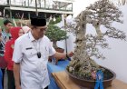 Buka Pameran dan Kontes Bonsai Nasional, Bupati Heri Amalindo Bangga 11 Provinsi Datang ke PALI