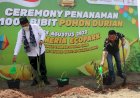 Gubernur Sumsel Dorong Petani Buah Muara Enim Remajakan Tanaman