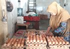 Harga Telur Melambung Tinggi, Pedagang di Lubuk Linggau Mulai Sepi Pembeli