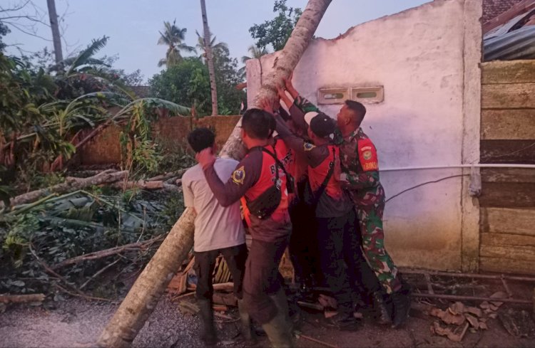 etugas gabungan sedang membersihkan sisa puing bangunan yang roboh dan menebang pohon tumbang akibat disapu angin puting beliung. (Istimewa/rmolsumsel.id)