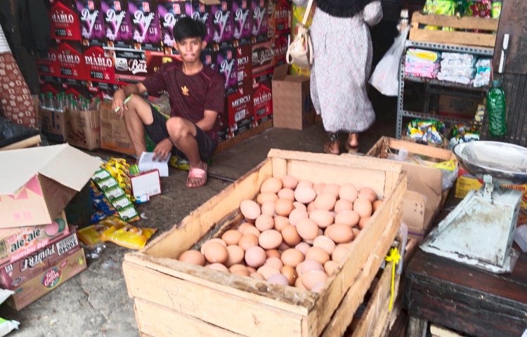 Harga telur ayam di pasar tradisonal kembali naik/RMOL