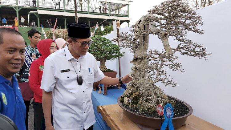 Bupati PALI, Dr Ir H Heri Amalindo MM saat melihat langsung bonsai yang mengikuti kontes. (Eko Jurianto/rmolsumsel.id)