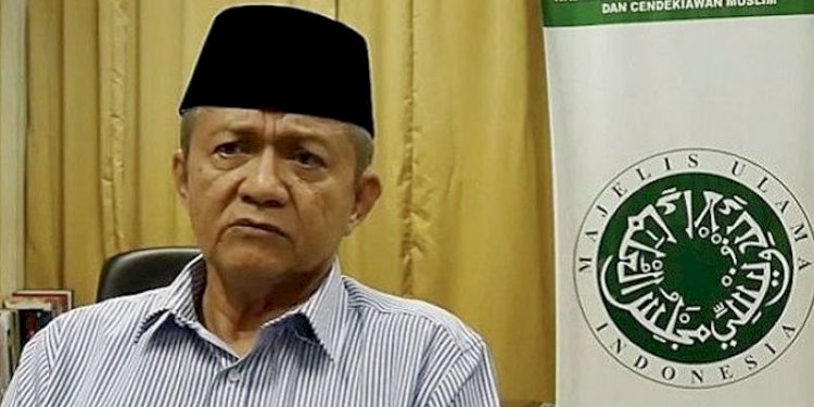  Wakil Ketua Majelis Ulama Indonesia (MUI), Anwar Abbas . (net)