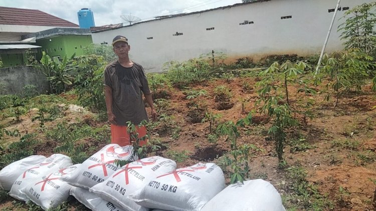 Lahan yang ditanami singkong dan jahe siap untuk diberi pupuk/ist.