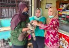 Vaksinasi Hewan Pembawa Rabies di Lubuklinggau Alami Kesulitan, Ini Penyebabnya