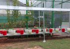 Warga Binaan Lapas Muara Enim Diajarkan Teknik Bertanam Hidroponik