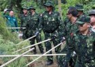 BNN Musnahkan 24 Ribu Batang Tanaman Ganja di Indrapuri Aceh Besar