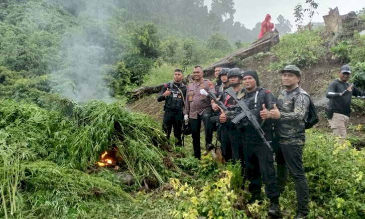 Pemusnahan Ladang Ganja di Aceh Besar/ist