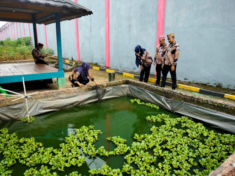 Lapas Muara Enim manfaatkan lahan kosong untuk tanam sayur dan ternak ikan. (Noviansyah/Rmolsumsel). 