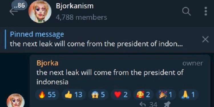 Pesan hacker Bjorka di Telegram/net