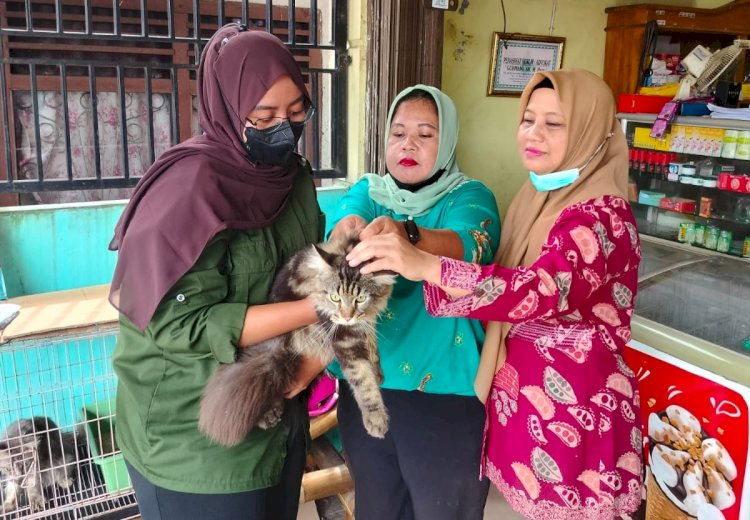 Petugas melakukan penyuntikan untuk vaksin hewan rabies/ist.