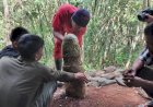 Menelusuri Jejak Puyang Diatas di Negeri Ratu   