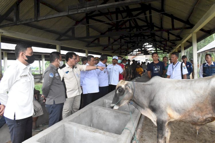 Peninjauan hewan ternak yang dijual  di Pasar Hewan Tugu Jaya, Kecamatan Lempuing Kabupaten OKI. (ist/rmolsumsel.id)