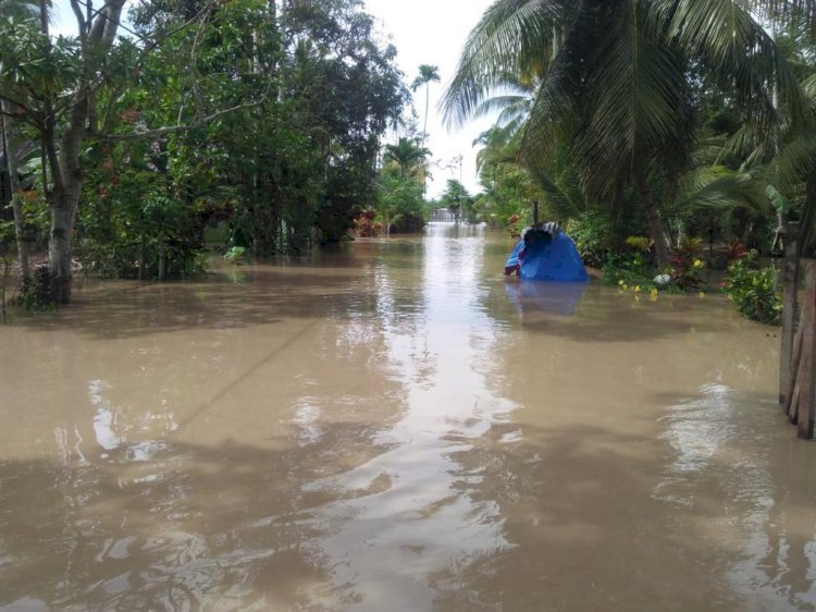 Banjir di Aceh Utara.  (BPBD/rmolsumsel.id)