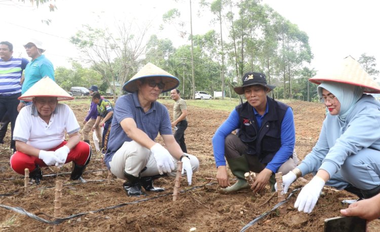 Bupati PALI, Dr Ir H Heri Amalindo galakkan gerakan tanam ubi kayu untuk hadapi krisis pangan global/Foto:RMOL