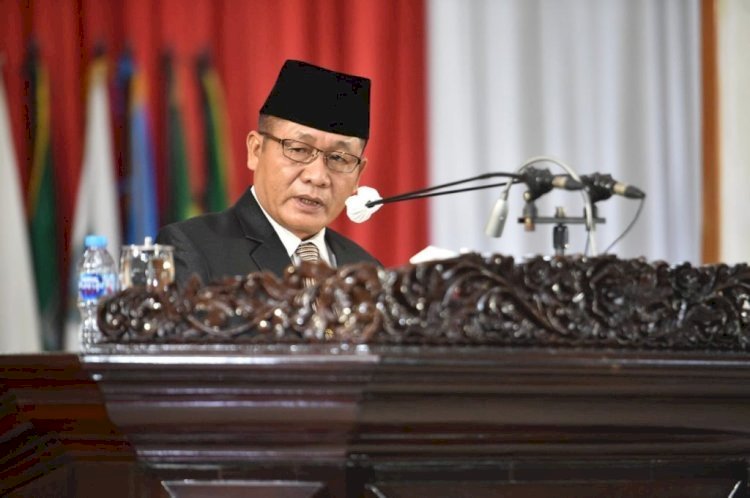 Wakil Ketua Komisi II DPRD Sumatera Selatan (Sumsel) Abusari/ist.