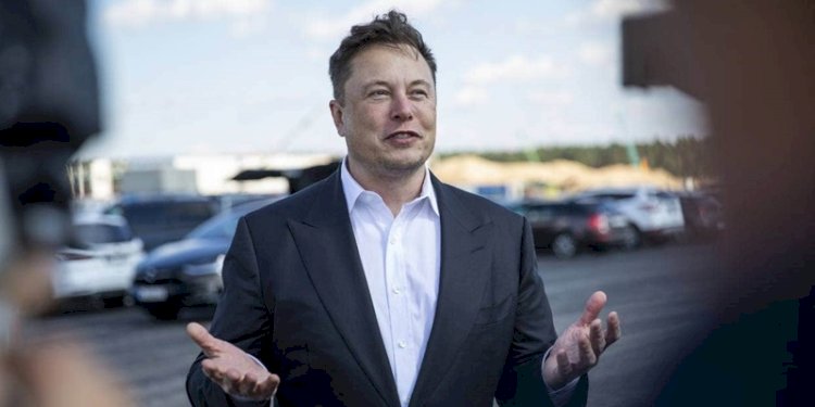 Elon Musk/Net