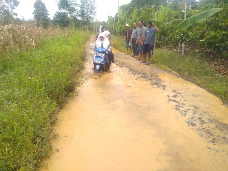 Sejumlah siswa sekolah saat melintasi jalan penghubung Desa Sipin menuju Desa sidodadi di Kabupaten OKU Selatan. (ist/rmolsumsel.id)