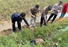 Diduga Korban Perampokan, Mayat Pelajar Ditemukan di Pinggir Sawah 