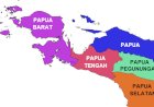 DPR Sahkan RUU Papua Barat Daya Jadi Undang-undang