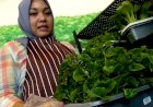 Es Krim Sayur, Solusi Baru Agar Anak Konsumsi Sayur