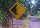 Cuaca Ekstrem Berpotensi Picu Bencana, BPBD Muba Imbau Warga Waspada