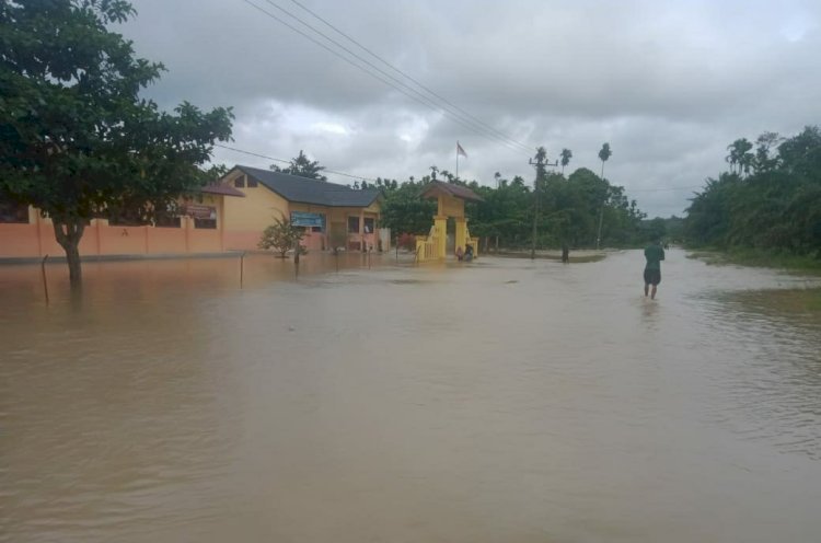 Kondisi banjir di salah Desa di Kabupaten Aceh Timur. Foto: BPBA.