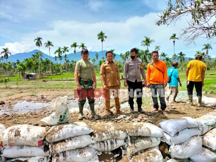 Kadis Pertanian dan Perikanan Lebong saat turun meninjau lokasi sawah terdampak banjir di Desa Embong Uram.  (ist/rmolsumsel.id)