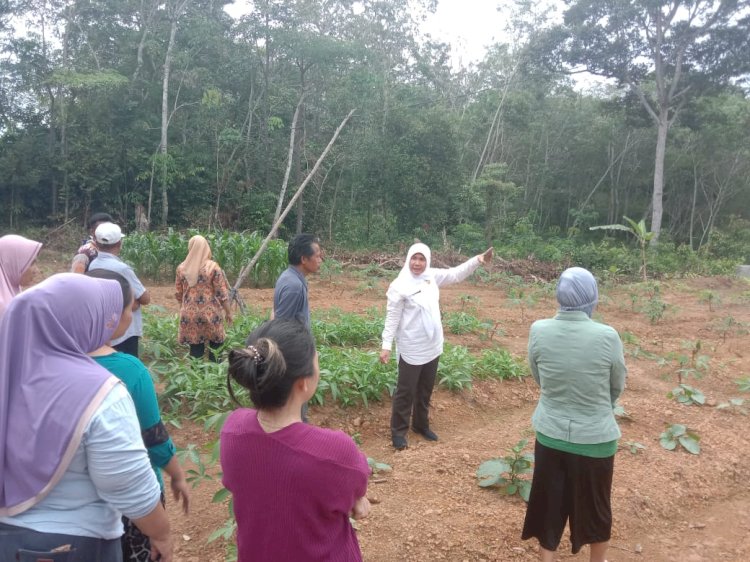 Camat Talang Ubi Emilia mengajak masyarakat untuk menggunakan lahan tidur sebagai tempat bercocok tanam sebagai upaya mengantisipasi krisis pangan. (Eko Jurianto/RmolSumsel.id)