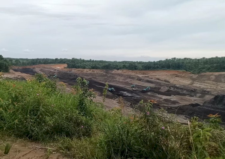  Lokasi tambang batubara milik PT Royaltama Mulia Kencana (RMK)/Foto:RMOL