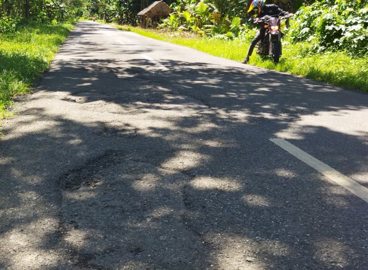 Lokasi  ruas jalan lintas milik Pemerintah Provinsi Sumsel di Desa Rasuan, Kecamatan Madang Suku 1, Kabupaten OKU Timur, yang kembali rusak usai diperbaiki sejak dua bulan lalu. (Amizon/RmolSumsel.id)