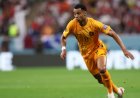 Belanda Diunggulkan, Cody Gakpo Siap Hancurkan Amerika