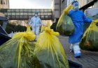 Terjangkit Flu Burung, Belasan Ribu Bebek Dimusnahkan di Ceko