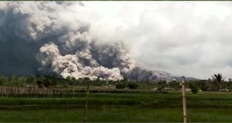 Erupsi Gunung Semeru/net