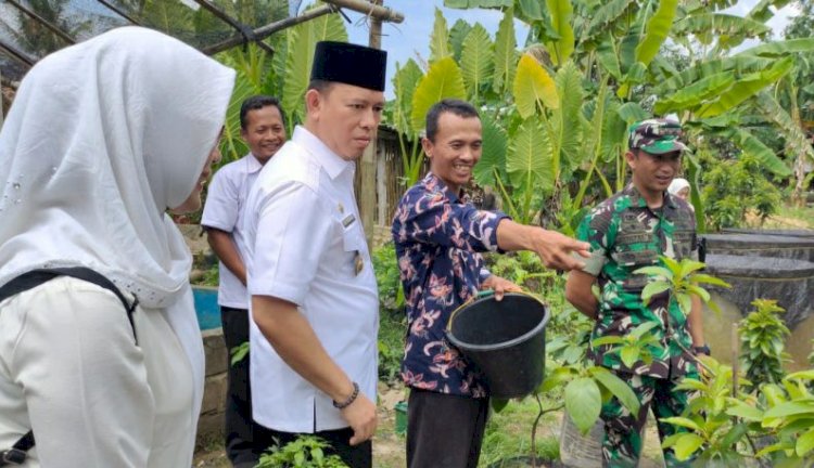 Pemerintahan Desa Pusar, Kecamatan Baturaja Barat, Kabupaten Ogan Komering Ulu (OKU) mengajak masyarakat di desa itu untuk membudidayakan ternak ikan lele /ist