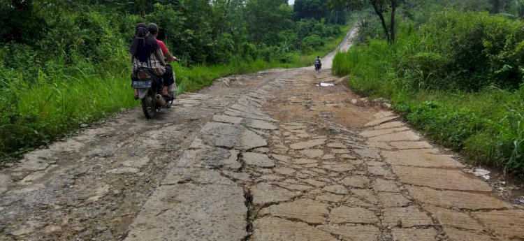 Jalan poros di Madang Suku III, Kabupaten OKU Timur rusak parah/Amizon.