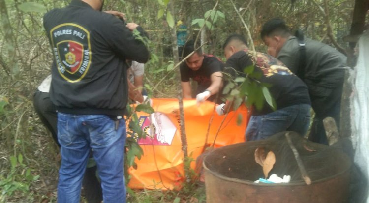 Petugas mengevakuasi mayat yang ditemukan warga di kebun karet/ist
