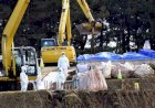 Terpapar Virus Flu Burung, 9,8 Juta Burung di Jepang  Dimusnahkan