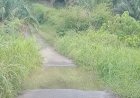 Seeing Tergenang saat Hujan, Jalan Desa di Empat Lawang Tidak Miliki Drainase