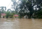 Banjir Landa Aceh, IDI Imbau Masyarakat Waspadai Penyakit Diare