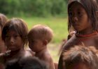 Krisis Kesehatan, Ratusan Anak Suku Adat Yanomami Meniggal Karena Kekurangan Gizi