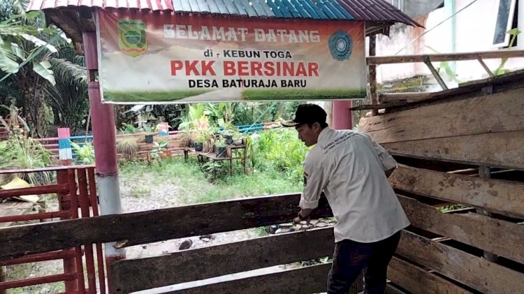 Kebun Toga PKK Bersinar Desa Baturaha Baru menjadi kebun percontohan bagi warga yang akan mengembangkan tanaman Toga di pekarangan rumahnya. (ist/rmolsumsel.id) 