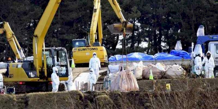 Pekerja dengan alat pelindung mengubur unggas yang dimusnahkan di Misawa, Prefektur Aomori, Jepang pada 24 Desember 2022/Net