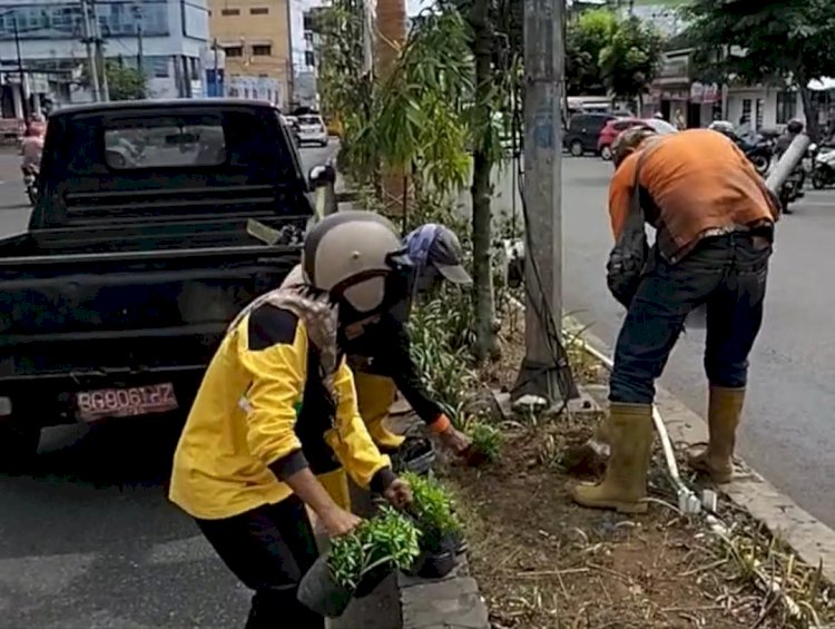 Petugas melakukan pergantian tanaman hias di Jalan Protokol Lubuklinggau/ist.