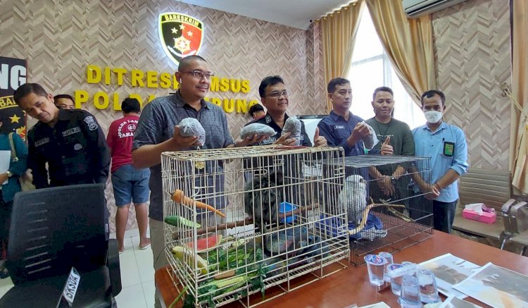 Petugas Subdit IV Tipidter Ditreskrimsus Polda Lampung berhasil menggagalkan perdagangan gelap satwa dilindungi/ist