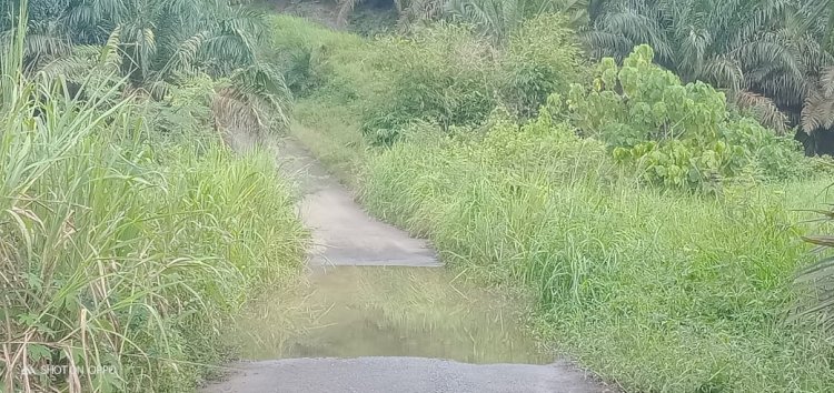 Jalan Desa di Empat Lawang tergenang saat hujan lantaran tak miliki drainase/ist